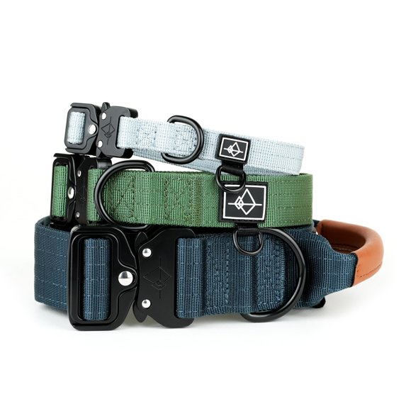 Made to ROAM Premium Dog Collar - Adjustable Heavy Duty Nylon Collar with Quick-Release Metal Buckle (Arizona Heartbeat, Classic Size 4)