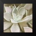 thumbnail image 2 of Kimberly, Allen 15x15 Black Modern Framed Museum Art Print Titled - Newspaper Succulent 1, 2 of 5