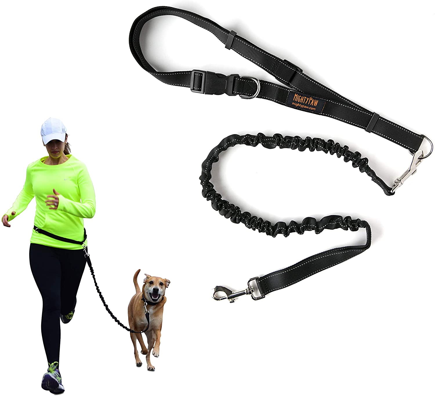 Lightweight Reflective Bungee Dog Leash Premium Running Dog Leash Mighty Paw Hands Free Dog Leash 