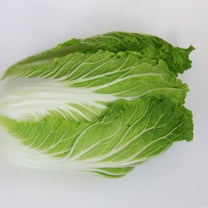 Chinese Cabbage Seeds - Kyoto No. 3-2 g Packet ~548 Seeds - Non-GMO, Heirloom - Asian Garden Vegetable & Microgreens