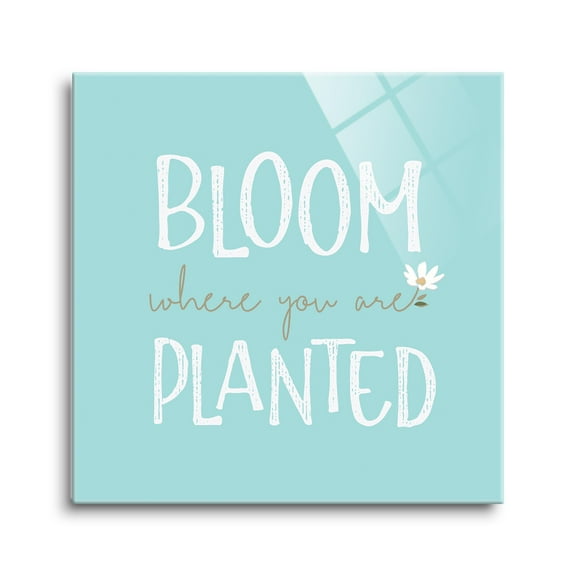 Bloom Where Planted Powder Blue Floral 8 x 8 Glass Wall Hanging Sign