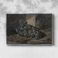 thumbnail image 2 of Vintage Botanical Print-XLIII By Wexford Home Framed in Silver Wood Gallery Wrapped Canvas 25 in. x 37 in., 2 of 7