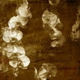 thumbnail image 3 of Craven, Katrina 12x12 Black Modern Framed Museum Art Print Titled - Orchid, 3 of 5