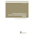 thumbnail image 1 of Phytostimulation by Bacillus Amyloliquefaciens Fzb42, 1 of 2