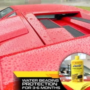 Formula 1 Carnauba Liquid Car Wax, High Gloss Shine & Protection for Auto Paint, Advanced Micropolishing to Remove Haze & Restore Vehicle Paint, 16 oz