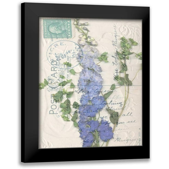 Goldberger, Jennifer 12x14 Black Modern Framed Museum Art Print Titled - Postcard Wildflowers II