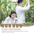 thumbnail image 3 of 40 Pcs Paper Planter Container Flowerpot Indoor Pots Plants Nursery Cup Planting Containers Cups, 3 of 6
