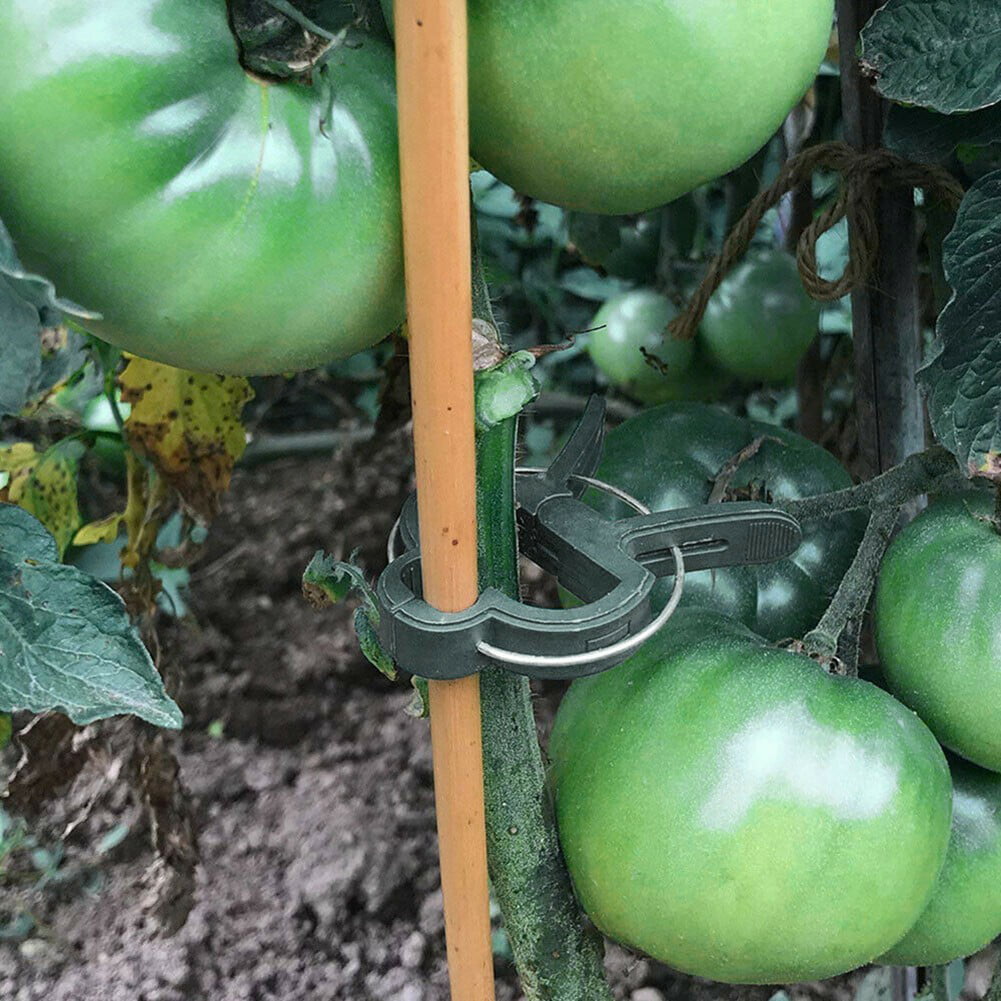 Plant Clips for Garden Tomato Cage Vegetable Vine Trellis Netting Climbing Plant 