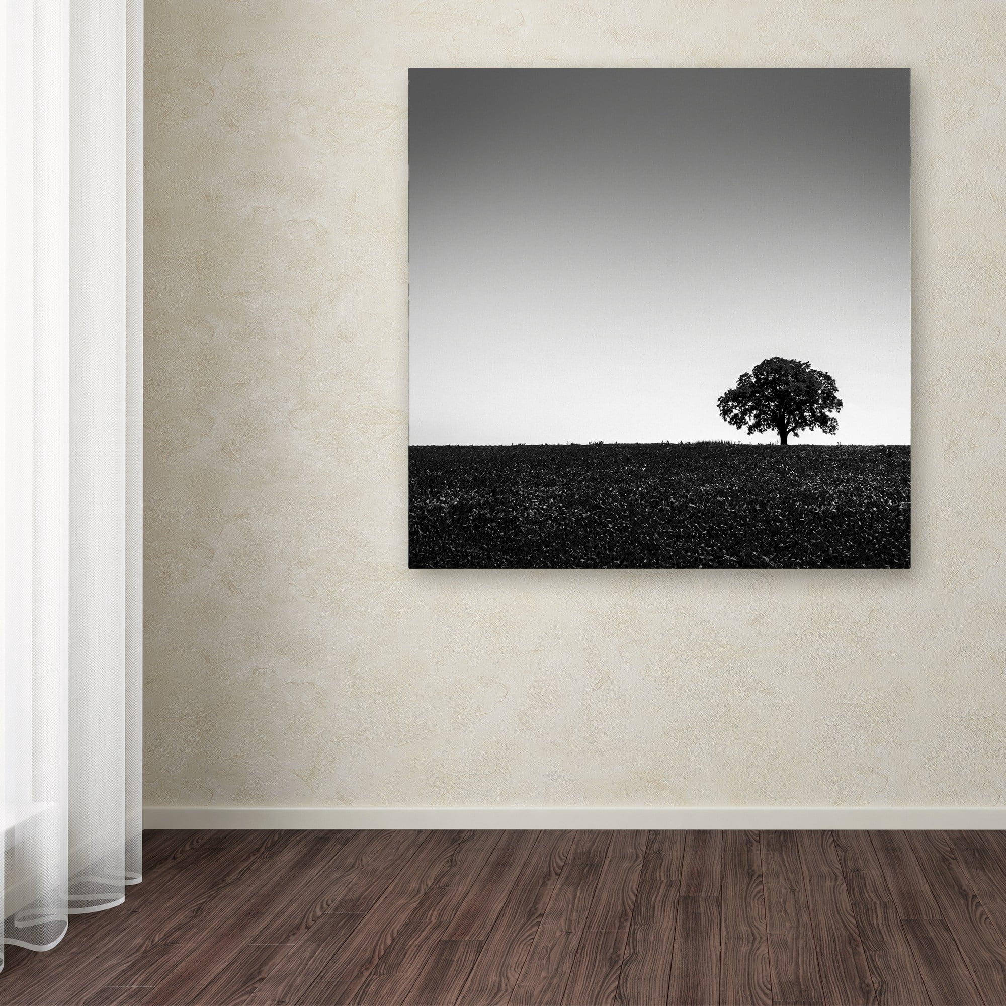 Trademark Fine Art "One Tree Hill" Canvas Art by Dave MacVicar