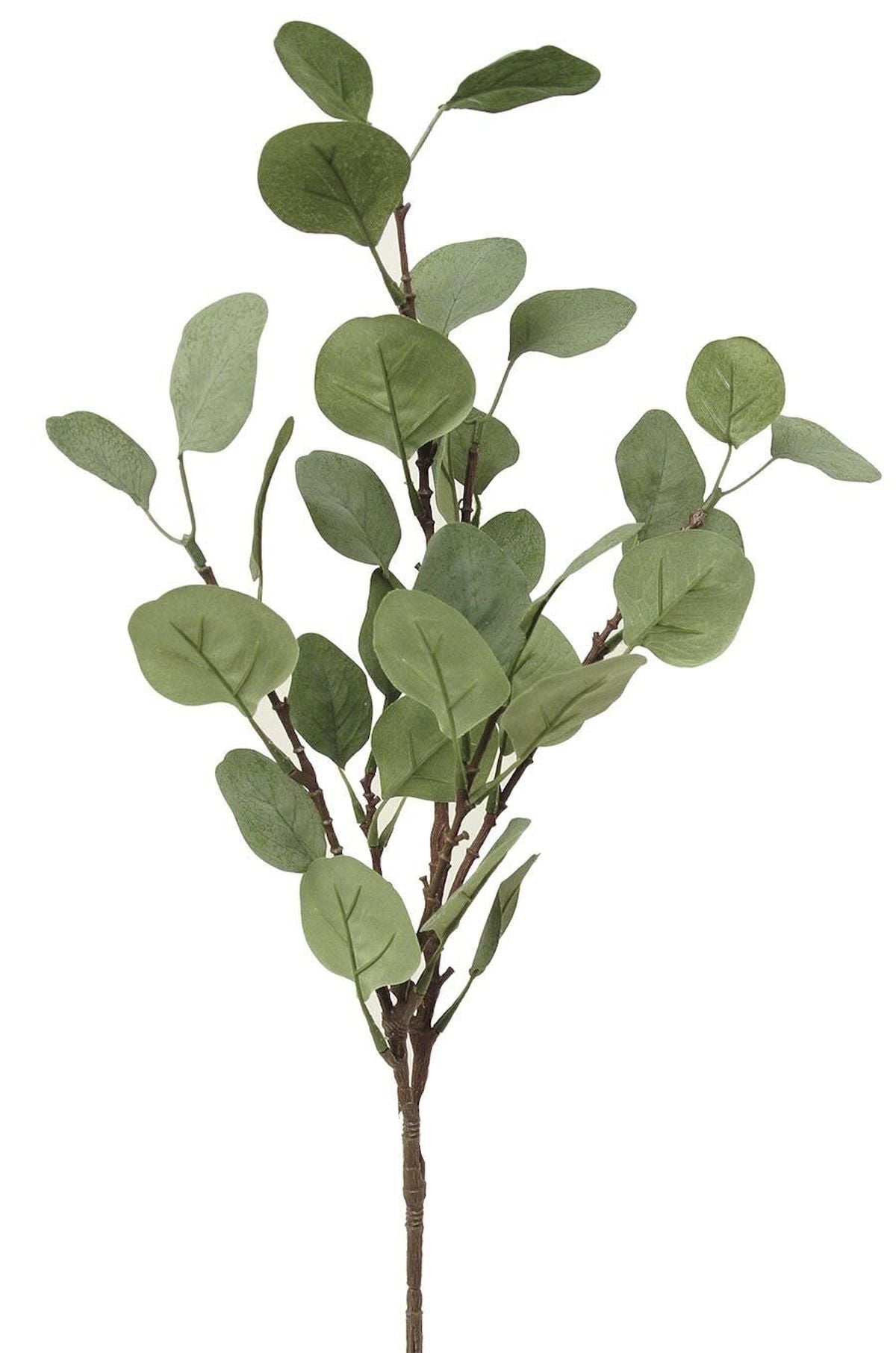 Silver Dollar Eucalyptus Branch Faux Plants And Trees