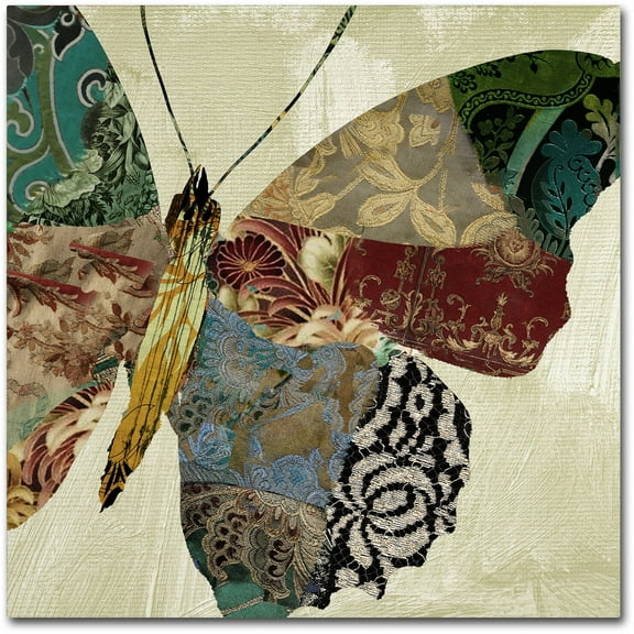 Trademark Fine Art "Butterfly Brocade II" Canvas Art by Color Bakery