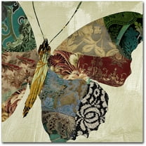 Trademark Fine Art "Butterfly Brocade II" Canvas Art by Color Bakery