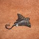 thumbnail image 1 of Miniature Sea Animal Model Manta Rays Starfish Shark Spotted Dolphin Platypus Oceans World Fish Mini Figurine Action Figure Toysstarfish 1pcs He Qiyong unisex, 1 of 1