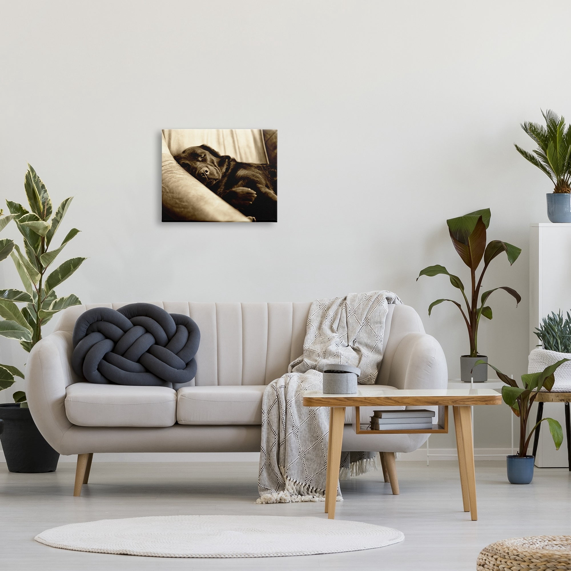 Stupell Industries Cuddling Labrador Dog Sleeping Cozy Sepia Photography Photograph Gallery Wrapped Canvas Print Wall Art, Design by James Dobson