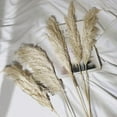 thumbnail image 4 of BalsaCircle Wheat 6 Sprays Stems 32" Natural Pampas Grass Dried Plant Wedding Party Decorations, 4 of 8