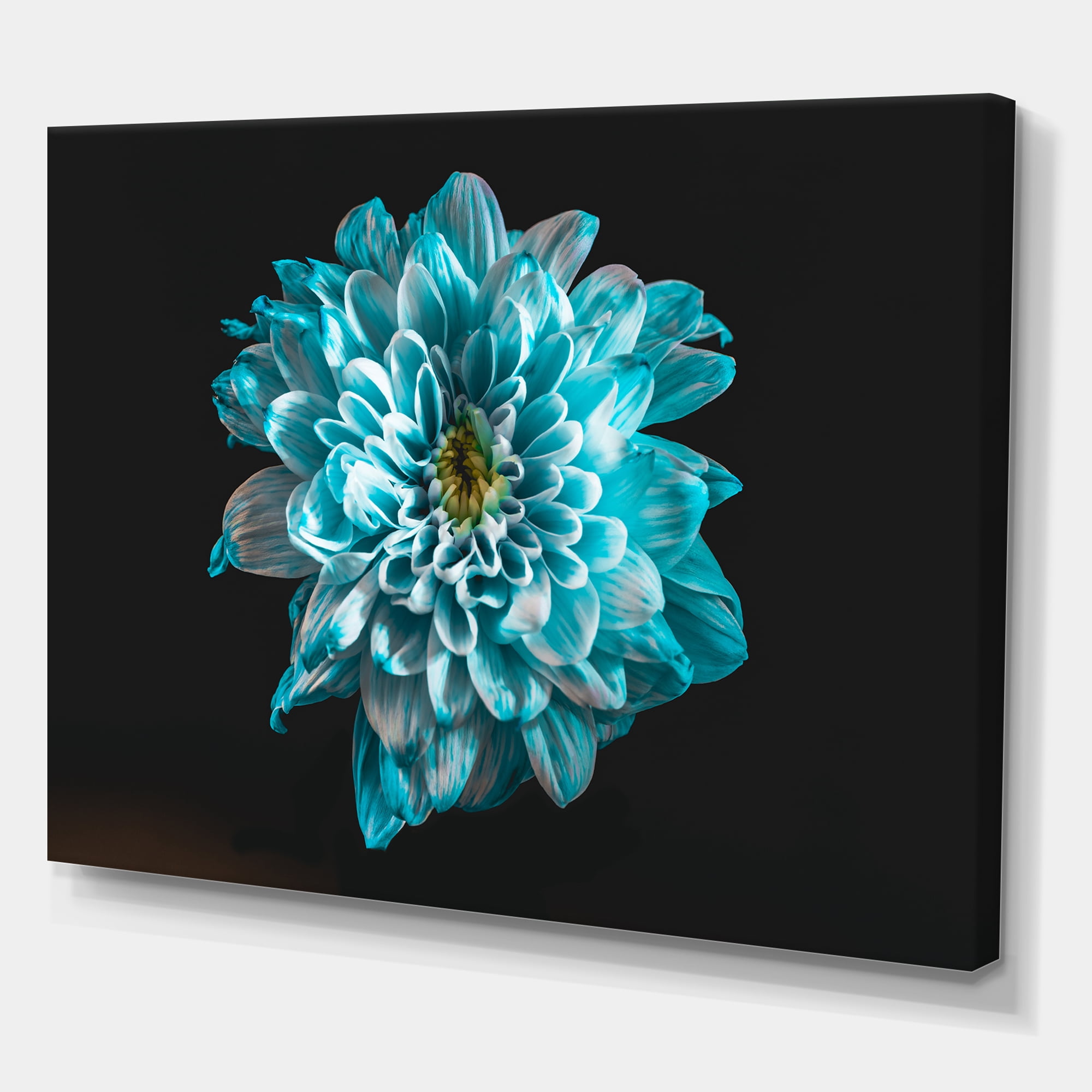 Designart ' Close Up Of Flower With White and Blue Petals ' Traditional Canvas Wall Art Print