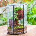 thumbnail image 3 of NCYP Front Opening Glass Terrarium with Door for Succulents, Small Plants - Closed Geometric Container Planter, Indoor Tabletop Wall Corner Landscape Decor, Black, 5" x 5" x 9.8" (Terrarium Only), 3 of 8