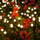 thumbnail image 3 of Juego de 2 luces LED solares de rosas rojas con forma de rosas artificiales para uso exterior, decoración de jardín, patio, tumba, cementerio, balcón, decoración navideña., 3 of 4