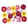 thumbnail image 4 of Flores secas prensadas, flores secas reales, flores secas mixtas decorativas para hacer joyas, manualidades de resina epoxi, arte de uñas, 4 of 9