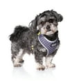 thumbnail image 2 of DOOG - Neoflex Dog Harness ODIE, X-Large, 2 of 4