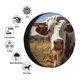 thumbnail image 4 of Balery Countryside Flower Cow Cubiertas para Neumáticos - Protector Resistente para Neumáticos de Camioneta, SUV, Remolque, Camper y RV-14 inch, 4 of 6
