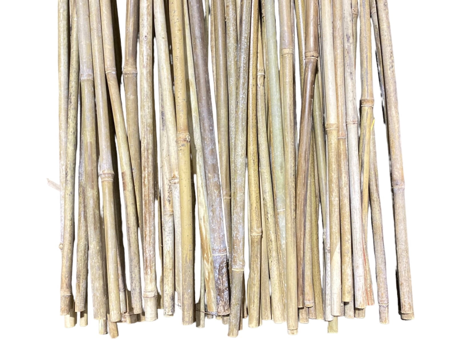 Pack Of 3 Natural Bamboo Sticks - 6 Feet Long, 1.5 Inch Thick Garden Stakes For Plant Support, Fences, Or Home Decor
