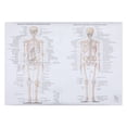 thumbnail image 1 of 1pc Human Skeletal Muscle Teaching Picture Anatomy Poster Anatomy Painting, 1 of 4
