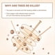 thumbnail image 4 of 15Pcs Copper Nails for Killing Trees Stump Root, 3.14 Inch, 4 of 5