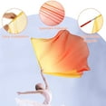 thumbnail image 4 of 2PCS Dance Worship Flags Praise Dance Flags With Telescopic Pole Half Circle Belly Dance Silk Veils Silk Wing Outdoor Flags, 4 of 7