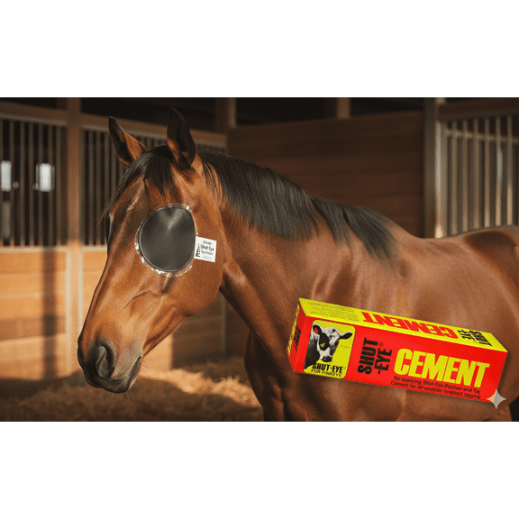 Durvet Shut-Eye Cement Tube 5 oz. Livestock Pinkeye Patch Adhesive Tagging