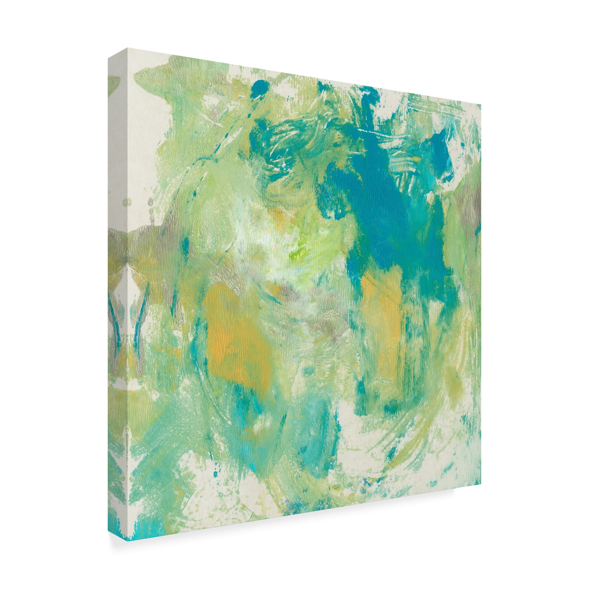 Trademark Fine Art 'World Wind I' Canvas Art by Tim OToole
