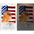 thumbnail image 2 of Carolines Treasures SS4020CNL USA American Flag with Brussels Griffon Ceramic Night Light 6x4x3" multicolor, 2 of 2