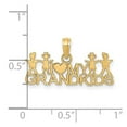 thumbnail image 2 of 14k Yellow Gold Polished I Love My Grandkids Pendant Necklaces 13.3x24.14mm Wide Pendant for Women, 2 of 2