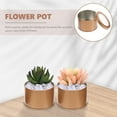 thumbnail image 6 of OUNONA 6Pcs Flower Pot Tin Plate Plant Pots Succulent Planter Lovely Flowerpot Small Planter, 6 of 8