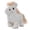White, variant on Toy for Kids Interactive Small Horse with Animated Walking Movement Wagging Tail and Realistic Sounds for Companionship, 20X10X17 cm, Coffee