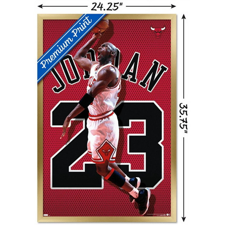 Michael Jordan Jersey Wall Poster, x 34