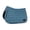 Aegean Blue(AGNB), variant on Horze Marquess All Purpose Saddlepad