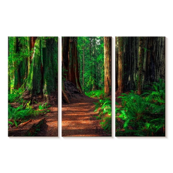 Elephant Stock Redwood Forest Path Wall Art - Horizontal Multi Panel Canvas - Living Room Wall Decor - Nature Multi Panel - Brown And Green Decor - 23" x 14"