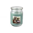 thumbnail image 1 of MAINSTAYS SOOTHING SPA 19OZ SCENTED JAR, 1 of 1