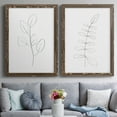 thumbnail image 7 of Botanical Gesture III - Premium Framed Canvas 2 Piece Set - Ready to Hang, 7 of 7