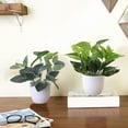 thumbnail image 3 of Bobasndm Artificial Potted Indoor Plants - Turtle Leaf and Monstera Fake Plant with Pots for Office Home Shelf Decor Indoor Outdoor, 3 of 9