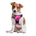 thumbnail image 1 of Pechera Arnes Color Rosa para Perro Talla Chica - Pechera Ajustable Antitirones Resistente para Paseo Entrenamiento, 1 of 4