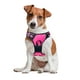 thumbnail image 1 of Pechera Arnes Color Rosa para Perro Talla Chica - Pechera Ajustable Antitirones Resistente para Paseo Entrenamiento, 1 of 4