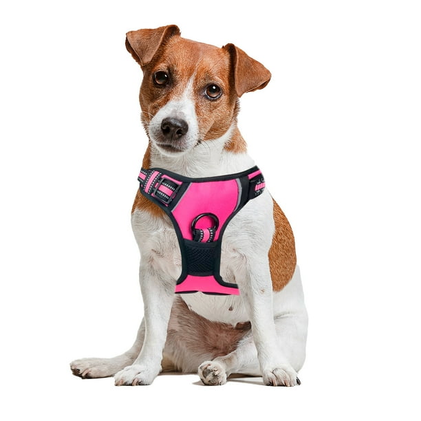 Pechera Arnes Color Rosa para Perro Talla Chica - Pechera Ajustable Antitirones Resistente para Paseo Entrenamiento