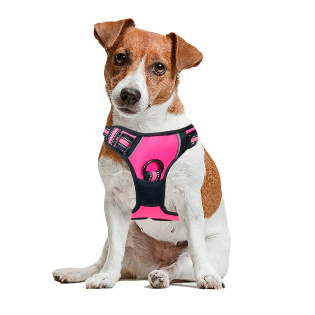 Pechera Arnes Color Rosa para Perro Talla Chica - Pechera Ajustable Antitirones Resistente para Paseo Entrenamiento