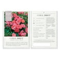 thumbnail image 5 of Coral Drift Rose (1 Gallon) Low-Growing Groundcover Deciduous Flowering Shrub - Full Sun Live Outdoor Plant, 5 of 7