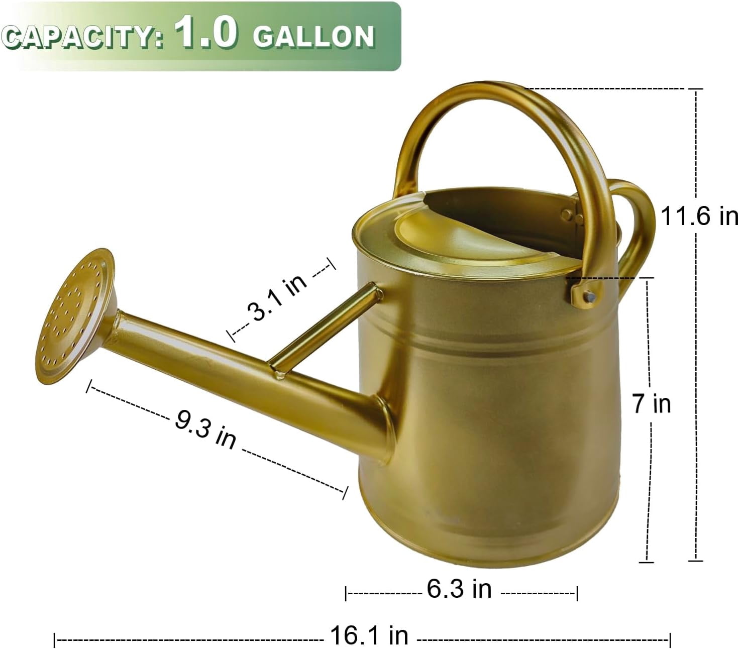 Watering Can for Outdoor&Indoor Plants，1 Gallon Metal Watering Can with with Removable Spout，Galvanized Steel Garden Flower Water Can Plant Watering Pot with 2 Handles，Gold