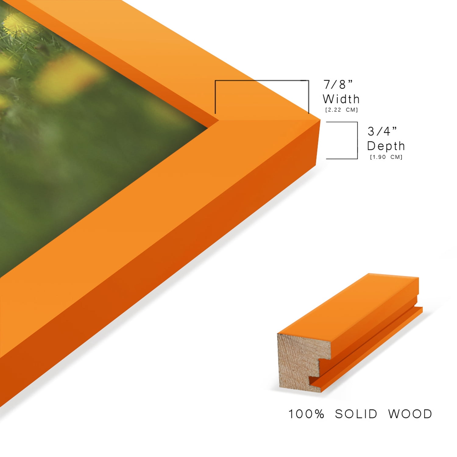 Modern 8 in. x 10 in. Orange Picture Frame (Set of 2)