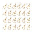 thumbnail image 3 of 48Pcs Alloy Key Holder Waist Hanging Key Holder Exquisite Star Shaped Car Business Keychain Metal Keyring without Case(Golden), 3 of 6