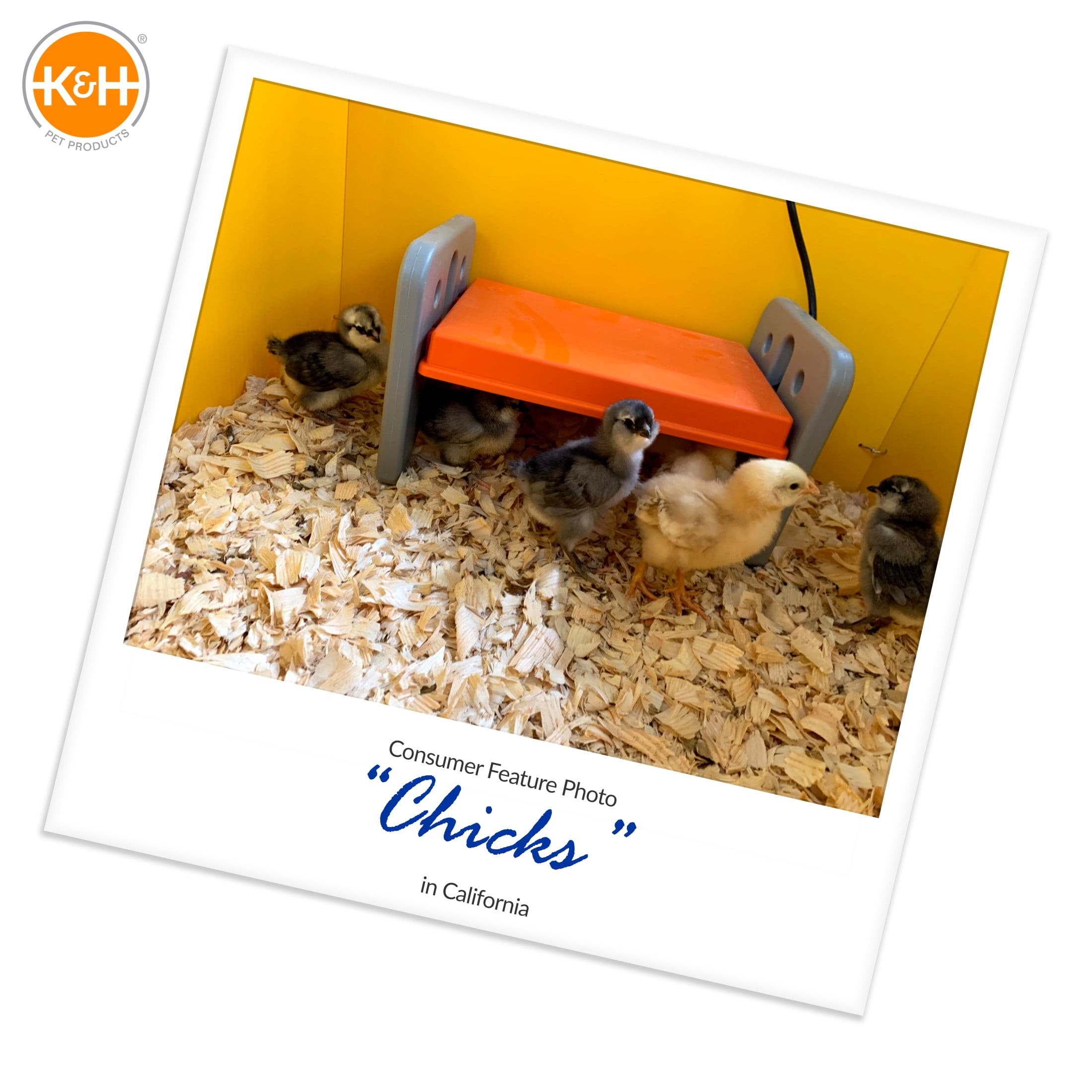 K&H Pet Products Thermo-Poultry Brooder Gray/Orange Small 13.5 X 8 X 8 Inches